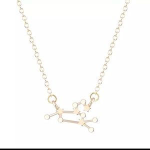 New LEO zodiac constellation necklace